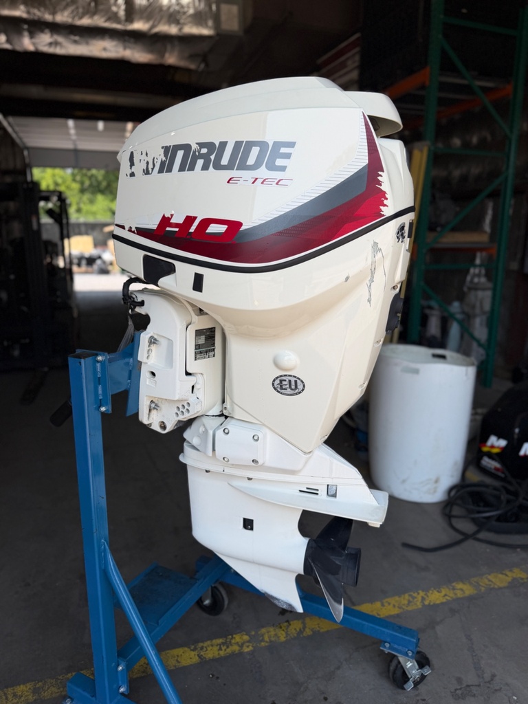 2019 Evinrude Etec 115HP 2 Stroke Outboard Engine 20" - 184 Hours