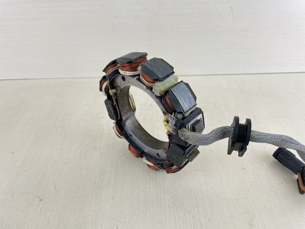 584849 Evinrude Johnson 1995-2006 Stator Assembly 80 90 100 105 115 HP 0763760