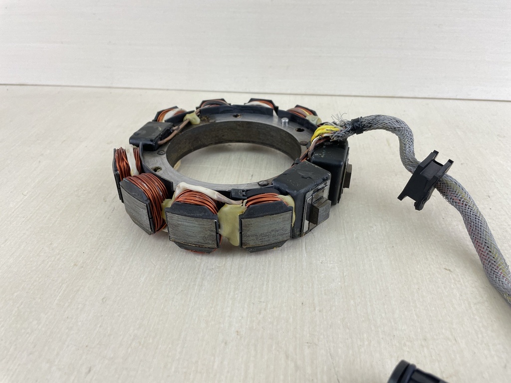 584849 Evinrude Johnson 1995-2006 Stator Assembly 80 90 100 105 115 HP 0763760