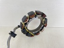 584849 Evinrude Johnson 1995-2006 Stator Assembly 80 90 100 105 115 HP 0763760