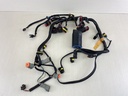 2007 Evinrude Etec 40HP Outboard Engine Wiring Harness Assembly 0586863