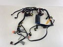 2007 Evinrude Etec 40HP Outboard Engine Wiring Harness Assembly 0586863