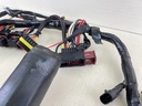 2007 Evinrude Etec 40HP Outboard Engine Wiring Harness Assembly 0586863