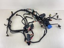 586769 Evinrude 200HP 2 Stroke Engine Electrical Harness Assembly 0586769
