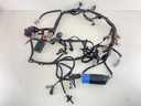 586991 Evinrude 05-07 Etec Engine Wire Harness 200 225 250 HP 0586769