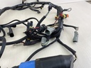 586991 Evinrude 05-07 Etec Engine Wire Harness 200 225 250 HP 0586769