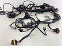 587003 0587003 Evinrude Etec 2 Stroke Outboard Engine Harness Assembly