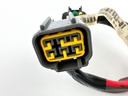 Yamaha Command Link 1ft 1' Pigtail Wire Harness 6Y8-82553-01
