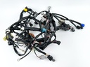 2017 Yamaha 200 HP 4 Stroke Outboard Engine Wire Harness 6DA-82590-20-00 OEM
