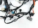 2017 Yamaha 200 HP 4 Stroke Outboard Engine Wire Harness 6DA-82590-20-00 OEM