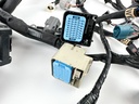 2017 Yamaha 200 HP 4 Stroke Outboard Engine Wire Harness 6DA-82590-20-00 OEM