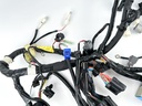 2017 Yamaha 200 HP 4 Stroke Outboard Engine Wire Harness 6DA-82590-20-00 OEM