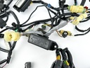 2006 Honda 150 HP 4 Stroke Outboard Engine Wire Harness 32100-ZY6-020 OEM
