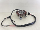 2006 Yamaha 60HP Outboard Stator & Base Magneto Assembly 6C5-81410-00-00