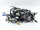 2017 Yamaha 200 HP 4 Stroke Outboard Engine Wire Harness 6DA-82590-20-00 OEM