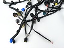 2017 Yamaha 200 HP 4 Stroke Outboard Engine Wire Harness 6DA-82590-20-00 OEM