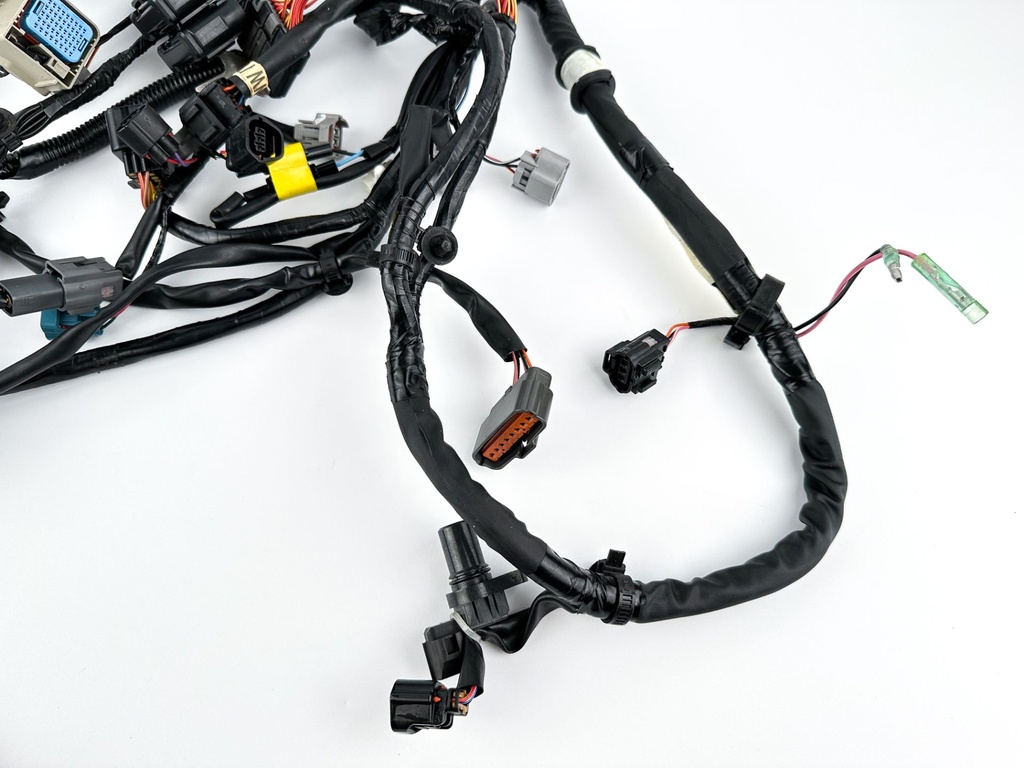 2017 Yamaha 200 HP 4 Stroke Outboard Engine Wire Harness 6DA-82590-20-00 OEM
