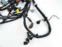 2017 Yamaha 200 HP 4 Stroke Outboard Engine Wire Harness 6DA-82590-20-00 OEM