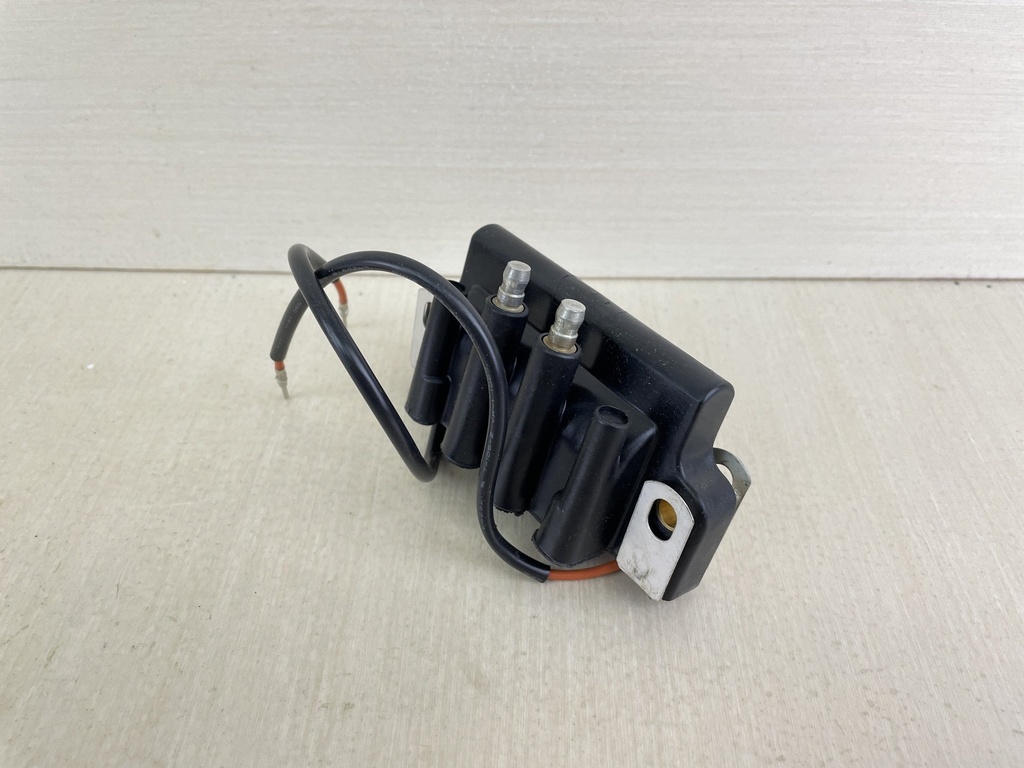 Johnson Evinrude BRP Dual Ignition Coil Assembly Brand New OEM