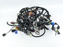2007 Yamaha 250 HP 2 Stroke Outboard Engine Wire Harness 60V-82590-71-00 OEM