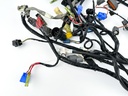2007 Yamaha 250 HP 2 Stroke Outboard Engine Wire Harness 60V-82590-71-00 OEM