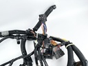 2009 Yamaha 225 HP 2 Stroke Outboard Engine Wire Harness 60V-82590-71-00 OEM