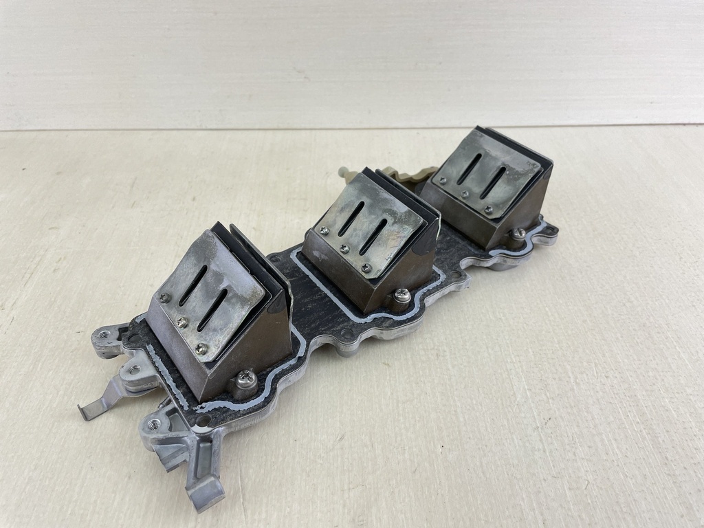 2004 Yamaha 60HP 2 Stroke Outboard Reed Valve Set With Plate 6H2-13610-00-00