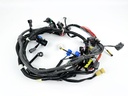 2007 Yamaha 150 HP 4 Stroke Outboard Engine Wire Harness 63P-82590-30-00 OEM