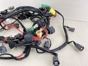 2006 Yamaha 225HP 4 Stroke Outboard Engine Wire Harness 69J-82590-60-00