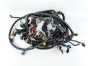 2007 Mercury 225 HP 2 Stroke Outboard Engine Wire Harness 892971T01 OEM