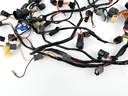 2002 Yamaha 200 HP 4 Stroke Outboard Engine Wire Harness 69J-82590-10-00 OEM