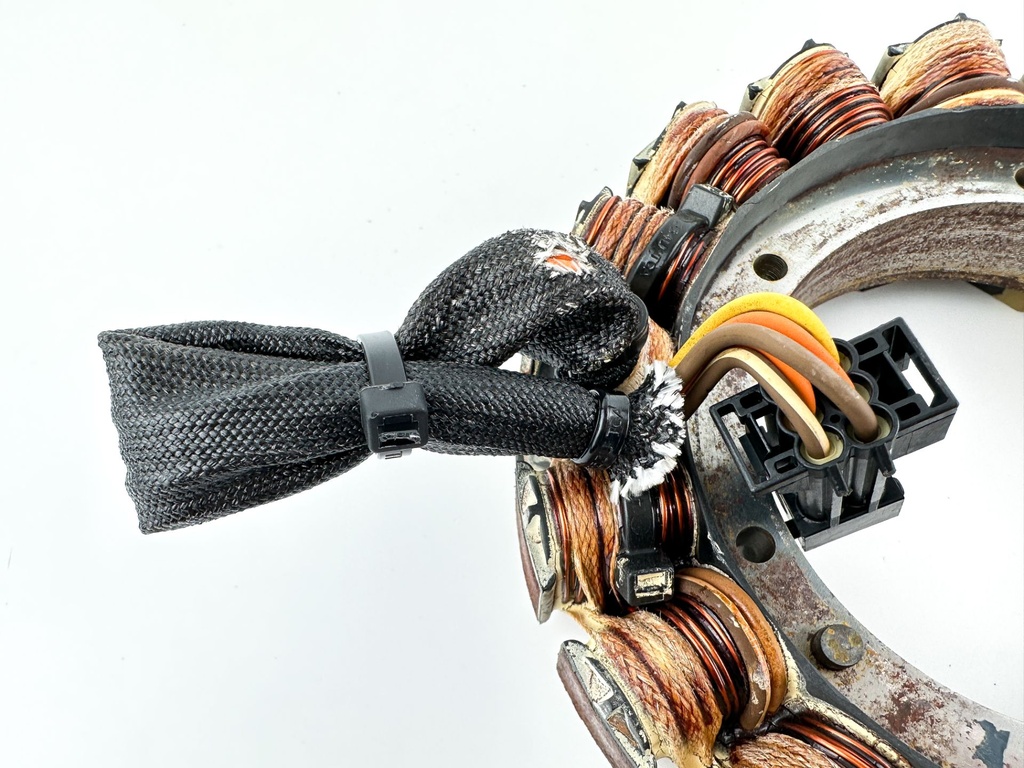 2017 Evinrude 115 HP 2 Stroke Outboard Stator Assembly 0586948 OEM