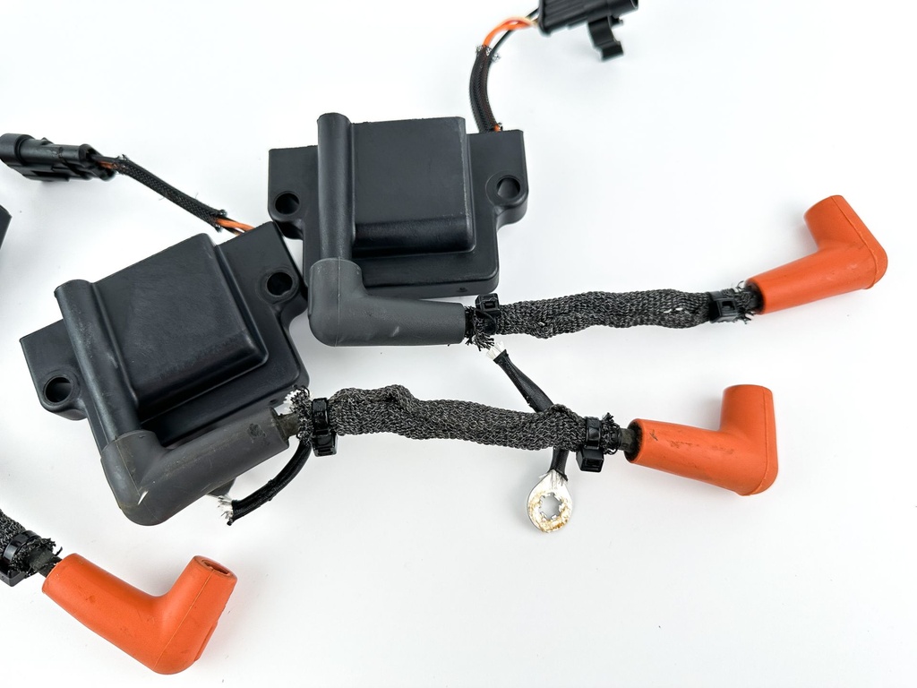 2017 Evinrude 115 HP 2 Stroke Outboard Ignition Coil Set 0586980 OEM