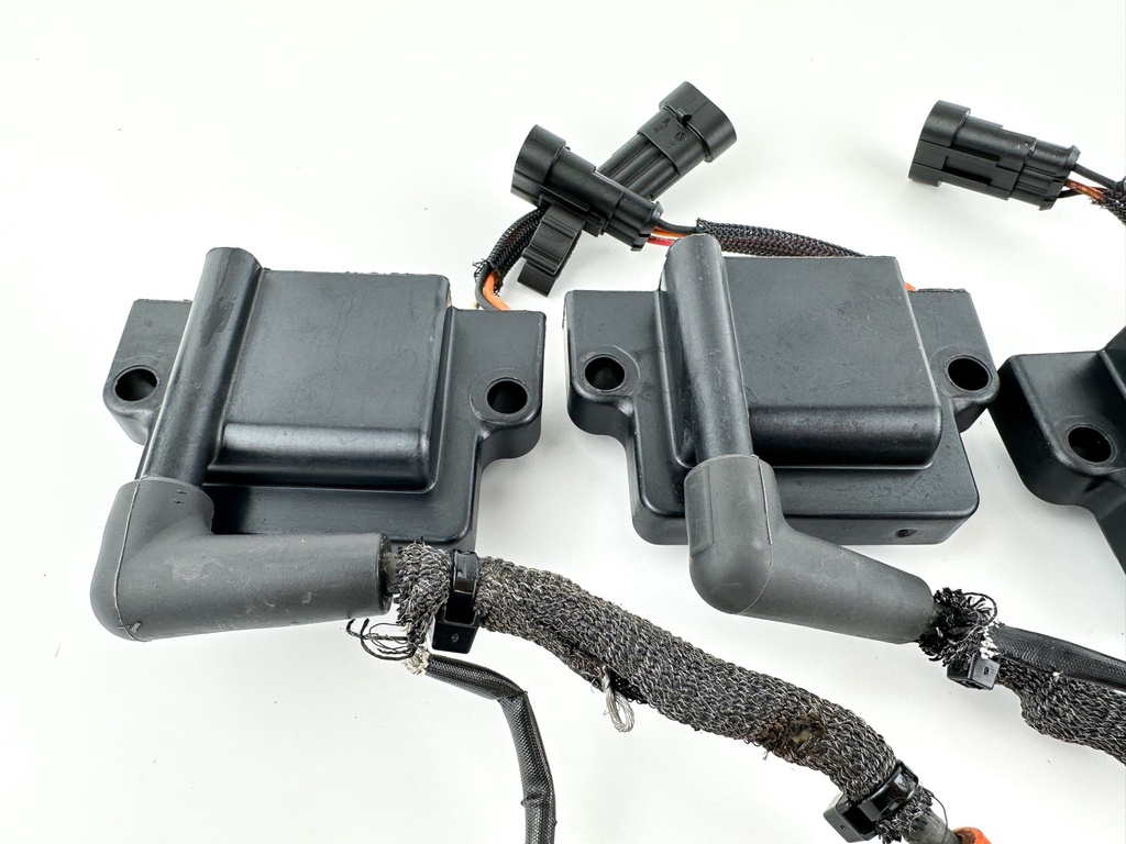 2017 Evinrude 115 HP 2 Stroke Outboard Ignition Coil Set 0586980 OEM