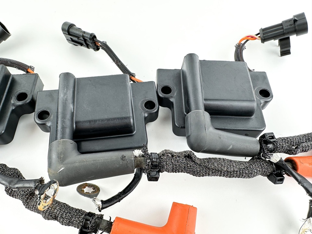 2017 Evinrude 115 HP 2 Stroke Outboard Ignition Coil Set 0586980 OEM