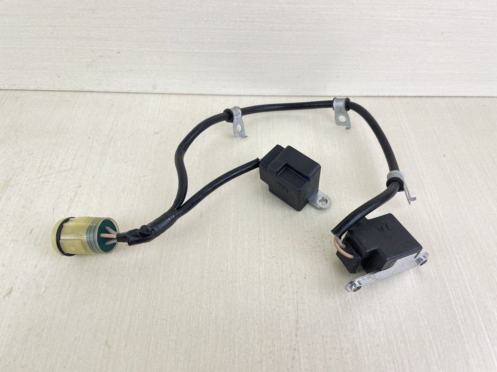 Honda 4 Stroke Outboard Coil Pulser Assembly 30310-ZW5-003