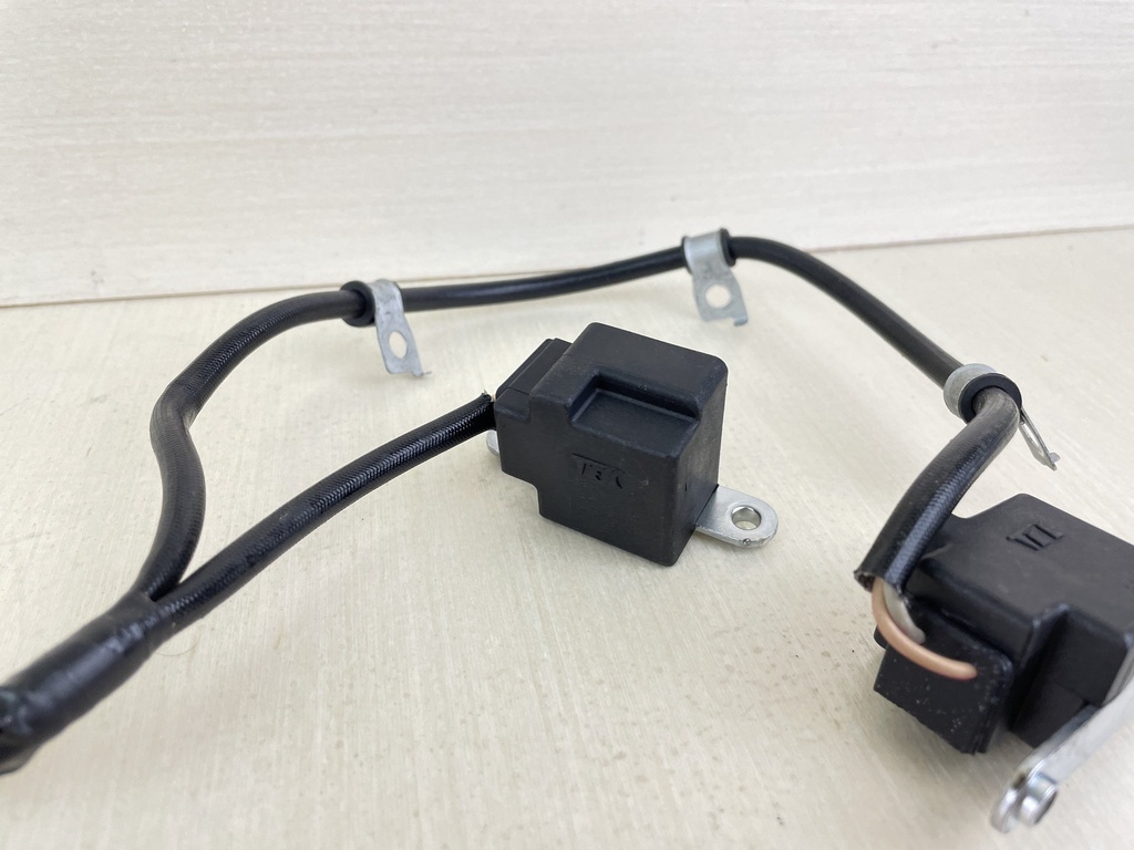Honda 4 Stroke Outboard Coil Pulser Assembly 30310-ZW5-003
