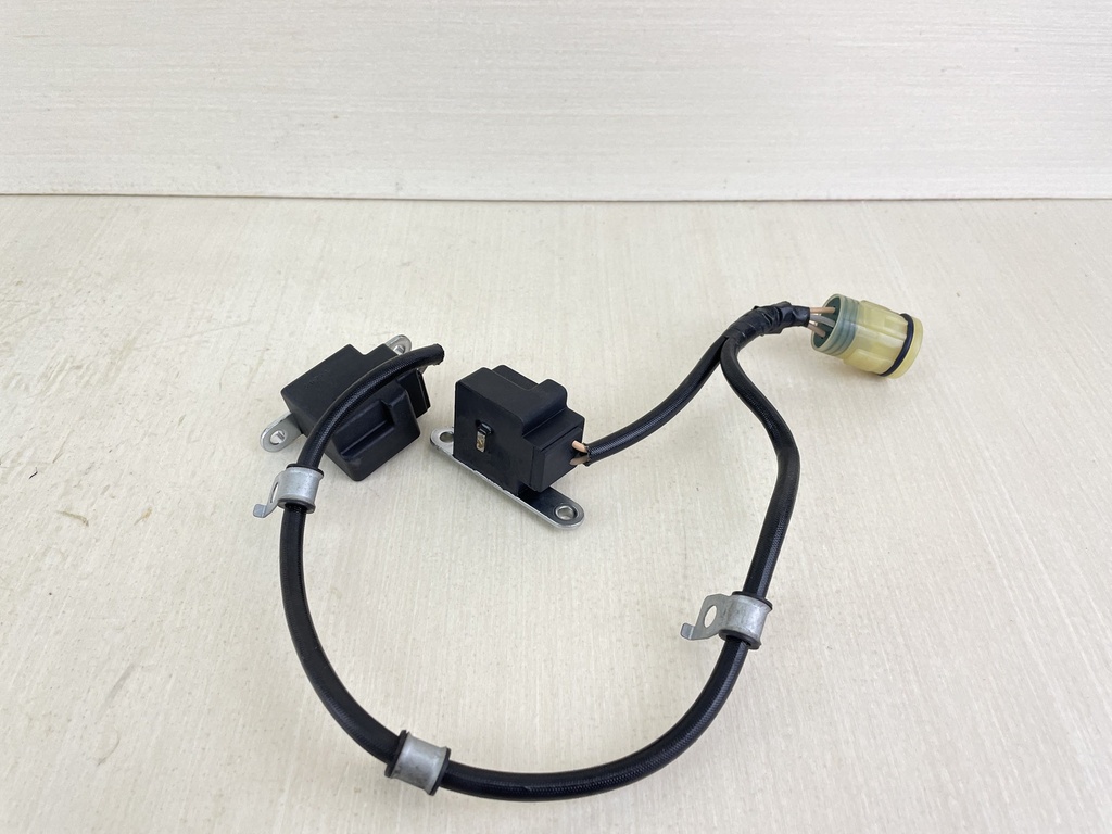 Honda 4 Stroke Outboard Coil Pulser Assembly 30310-ZW5-003