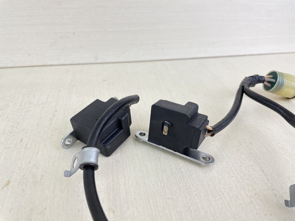 Honda 4 Stroke Outboard Coil Pulser Assembly 30310-ZW5-003