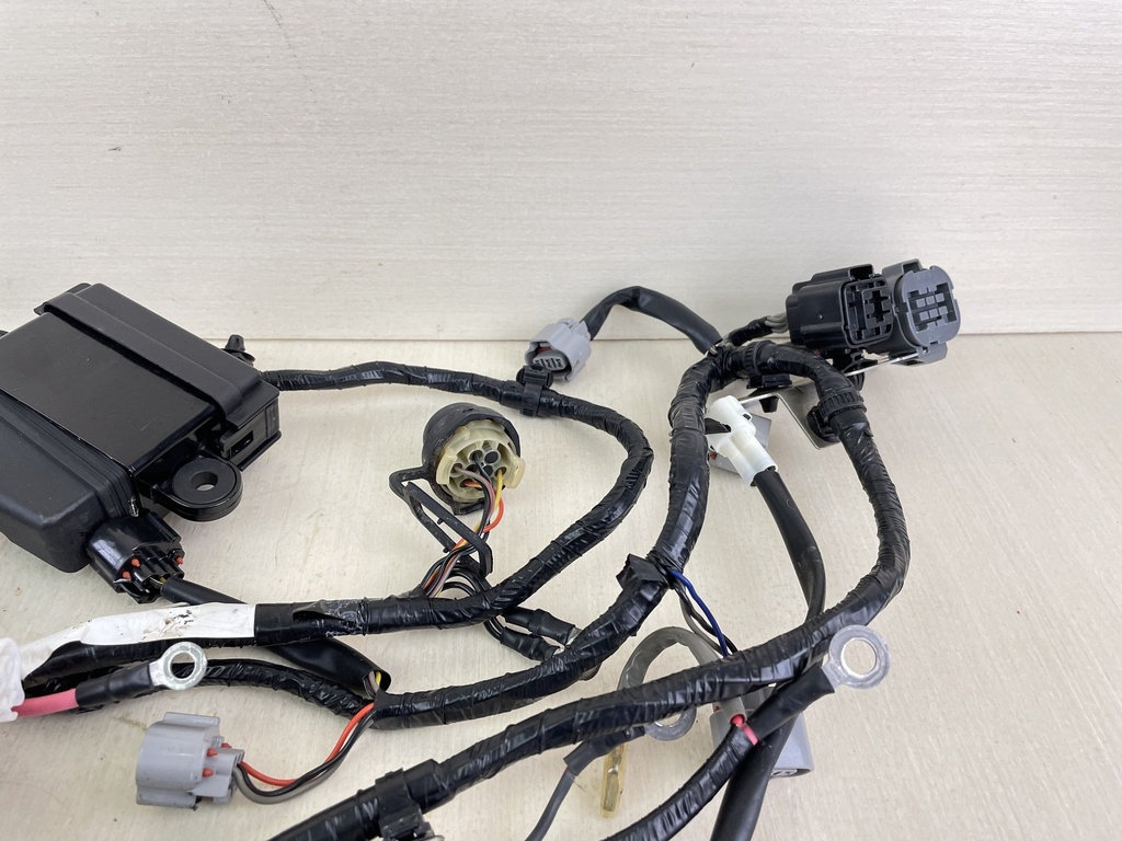 Suzuki DF 150 175 HP 4 Stroke Outboard Engine Wire Harness 36610-96J00