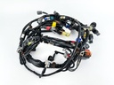 2019 Yamaha 115 HP 4 Stroke Outboard Engine Wire Harness 6EK-82590-10-00 OEM