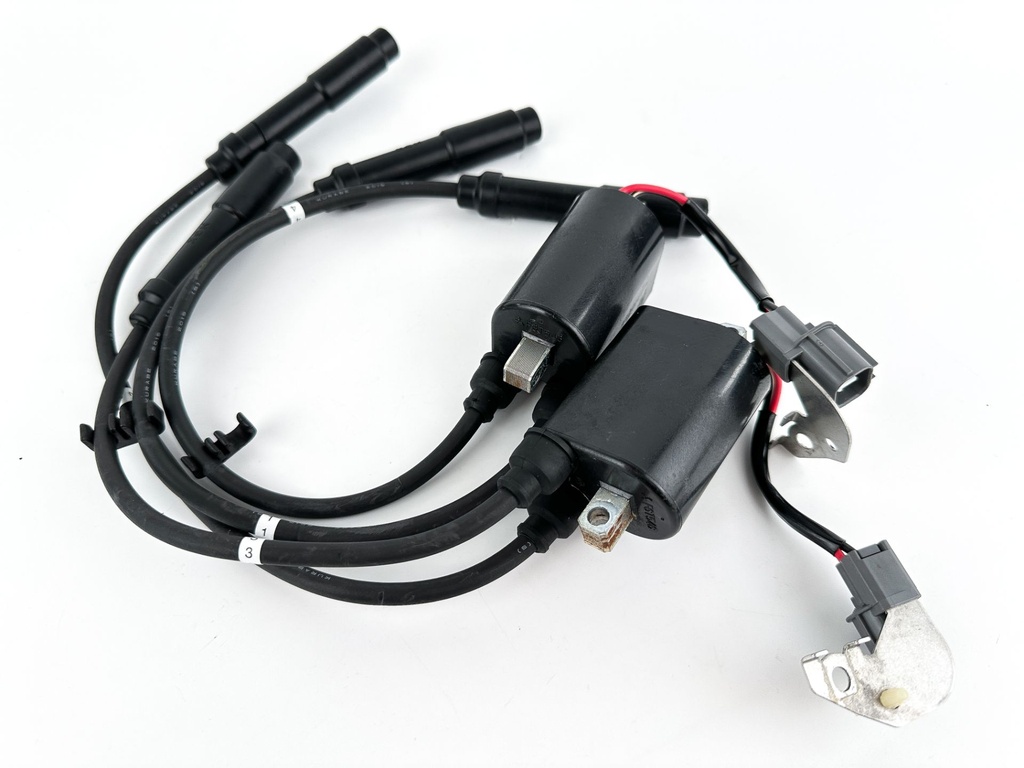 2019 Yamaha 115 HP 4 Stroke Outboard Ignition Coil Set 6EK-82310-00-00 OEM