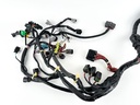 2012 Yamaha 250 HP 4 Stroke Outboard Engine Wire Harness 6CB-82590-01-00 OEM