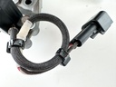 2012 Yamaha 250 HP 4 Stroke Outboard Coil Pulser Base Stator Assembly 6CB-81410-00-00 OEM