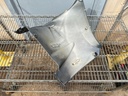 2012 Yamaha 250 HP 4 Stroke Outboard Lower Apron Cowling Port 6CB-42741-00-8D OEM