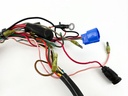 2003 Yamaha 70 HP 2 Stroke Outboard Engine Wire Harness 6H2-82590-13-00 OEM