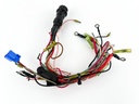 2003 Yamaha 70 HP 2 Stroke Outboard Engine Wire Harness 6H2-82590-13-00 OEM