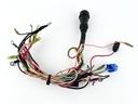 2003 Yamaha 70 HP 2 Stroke Outboard Engine Wire Harness 6H2-82590-13-00 OEM