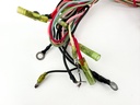 2003 Yamaha 70 HP 2 Stroke Outboard Engine Wire Harness 6H2-82590-13-00 OEM