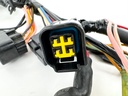 2001 Yamaha 80 HP 4 Stroke Outboard Engine Wire Harness 67F-82590-01-00 OEM